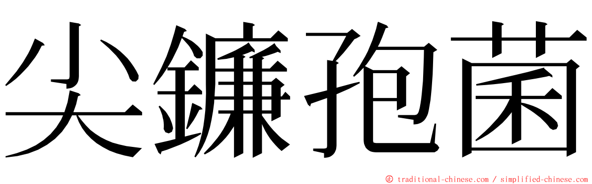 尖鐮孢菌 ming font