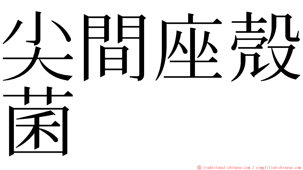 尖間座殼菌 ming font