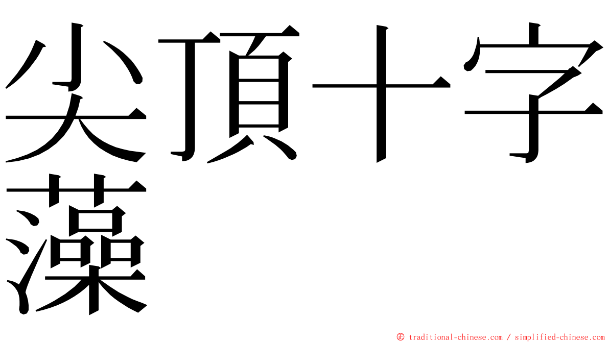 尖頂十字藻 ming font