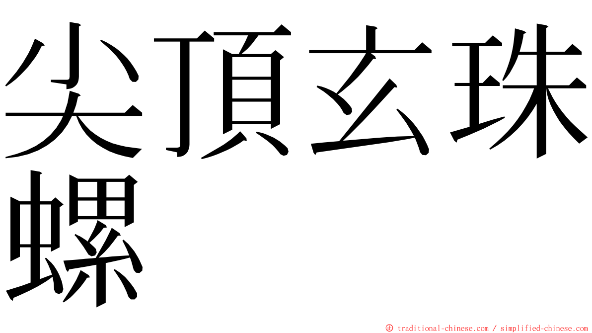 尖頂玄珠螺 ming font