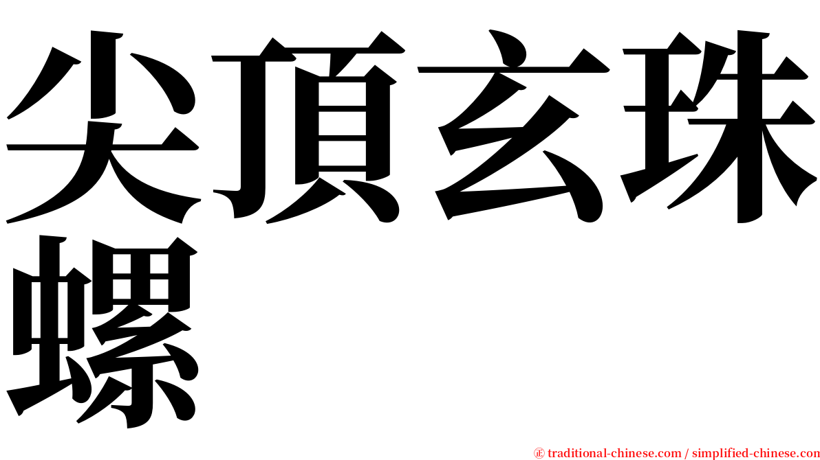 尖頂玄珠螺 serif font