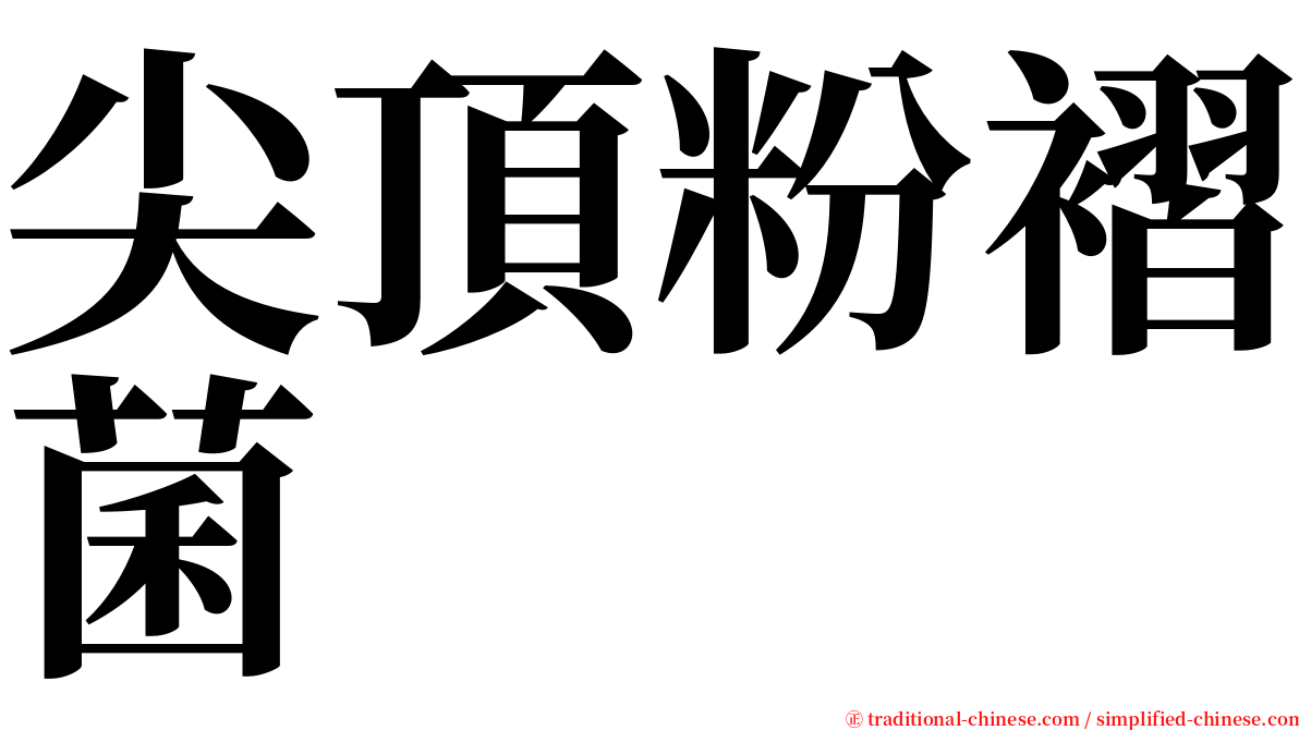 尖頂粉褶菌 serif font