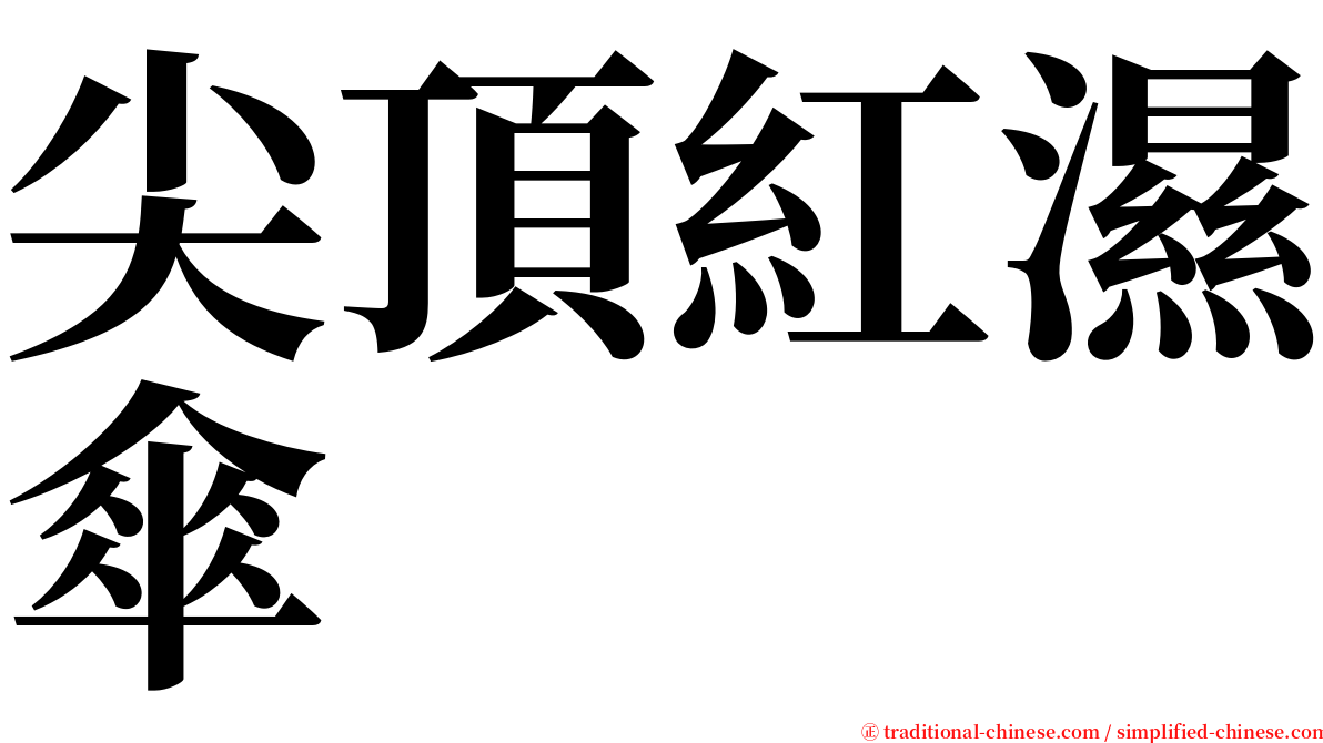 尖頂紅濕傘 serif font