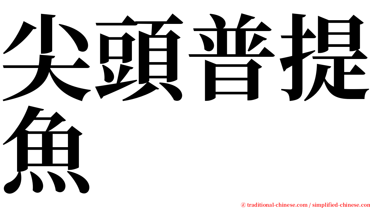 尖頭普提魚 serif font