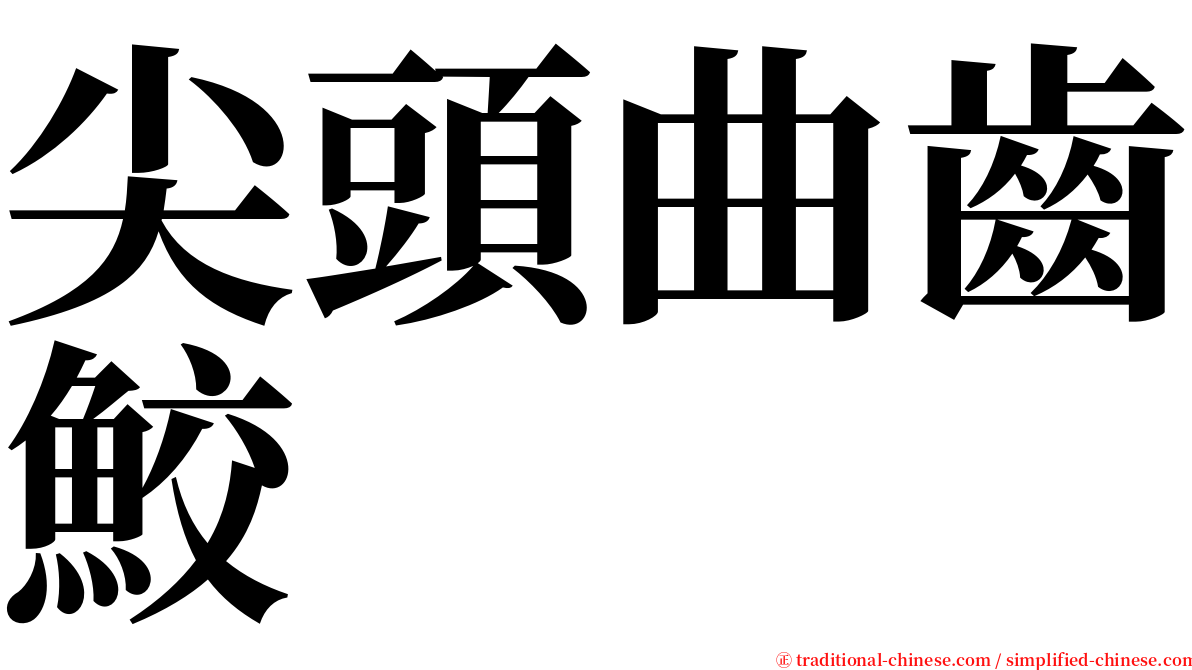 尖頭曲齒鮫 serif font