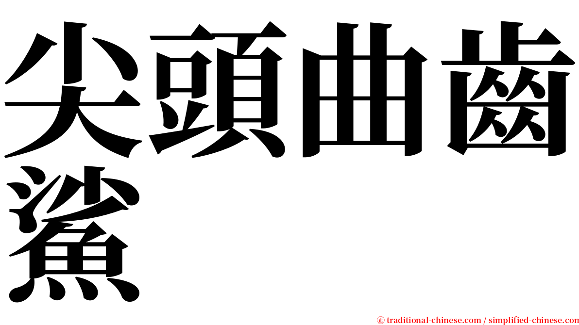 尖頭曲齒鯊 serif font