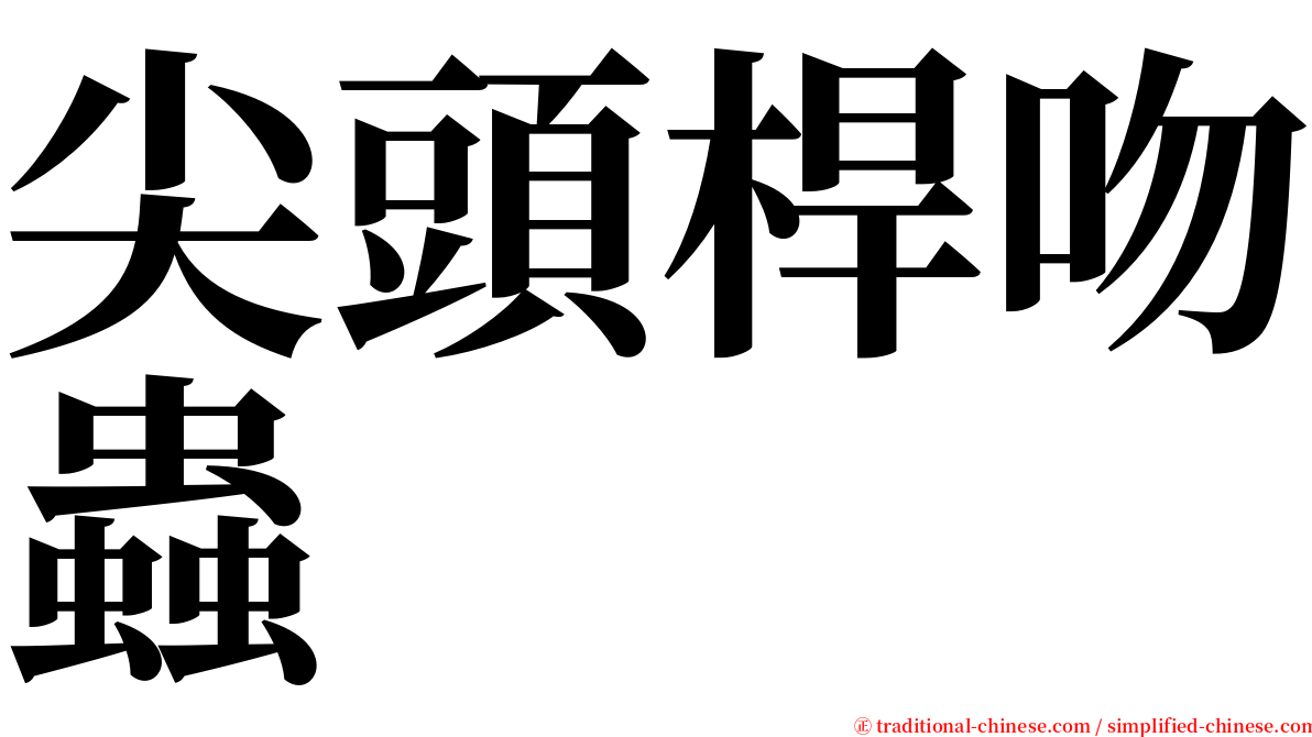 尖頭桿吻蟲 serif font