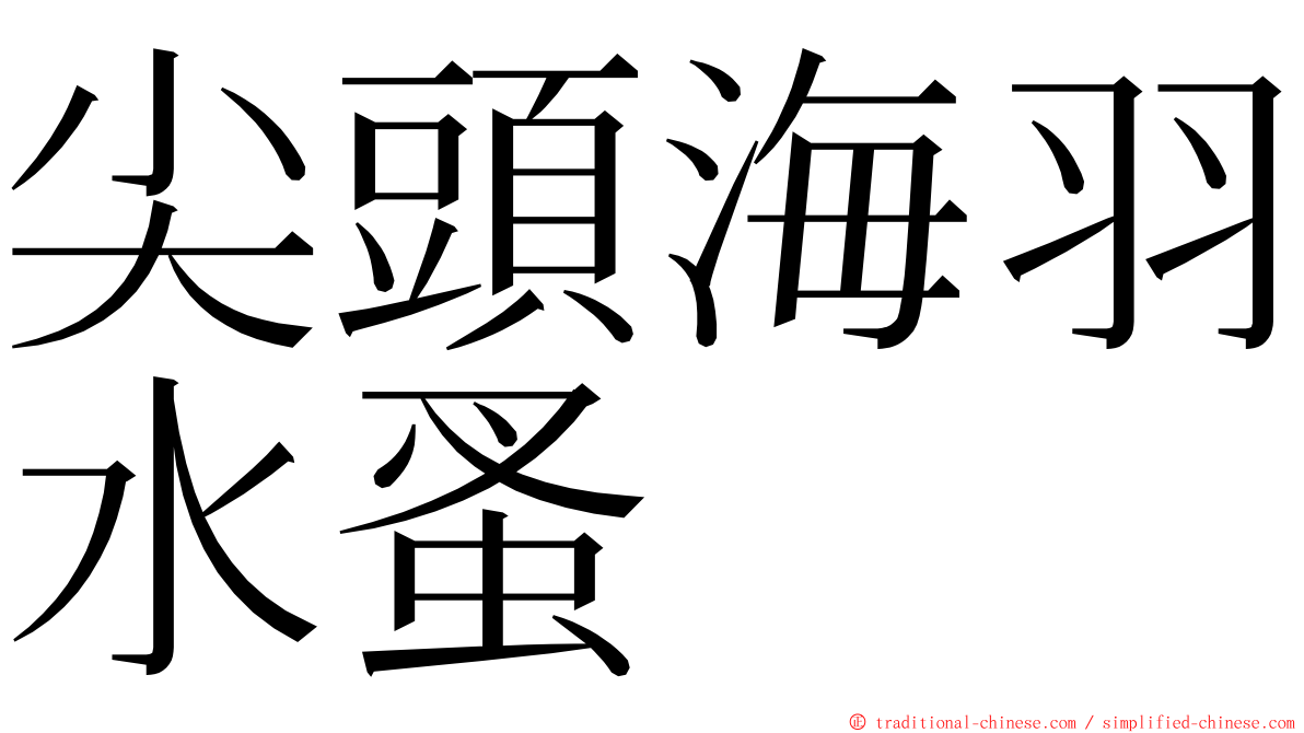 尖頭海羽水蚤 ming font