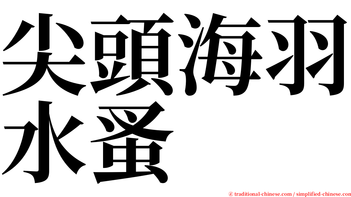 尖頭海羽水蚤 serif font