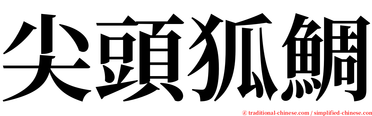 尖頭狐鯛 serif font