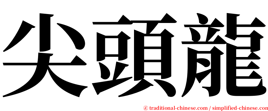 尖頭龍 serif font