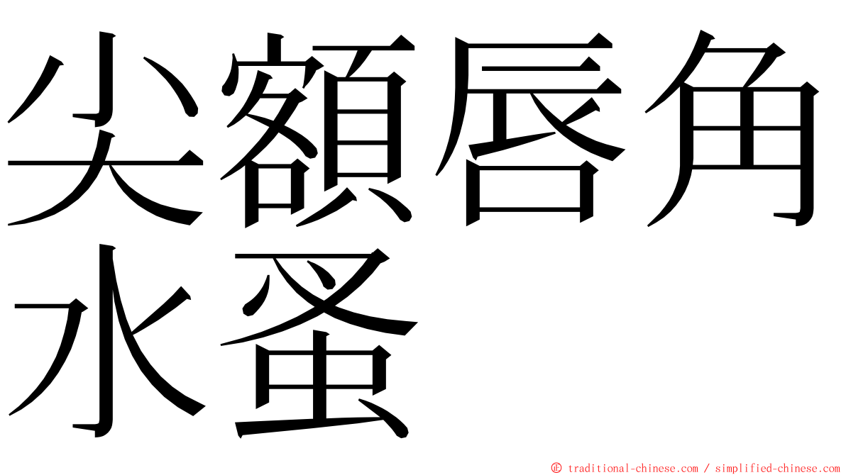 尖額唇角水蚤 ming font