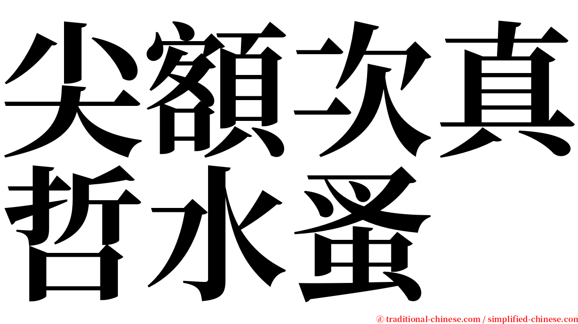 尖額次真哲水蚤 serif font