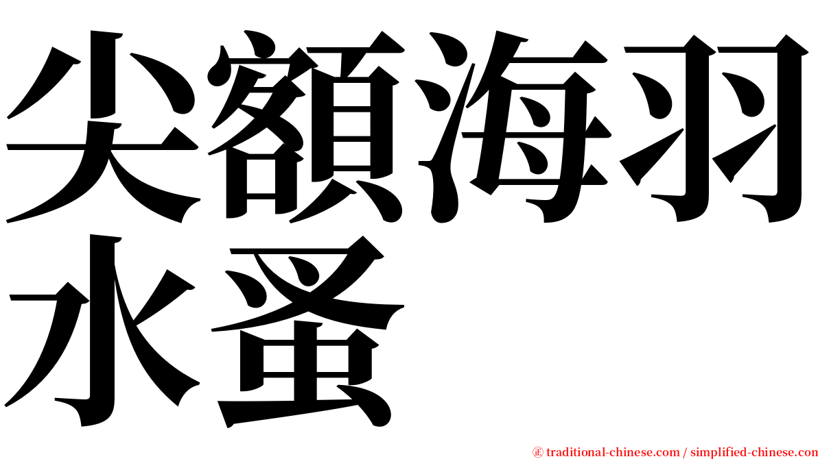 尖額海羽水蚤 serif font