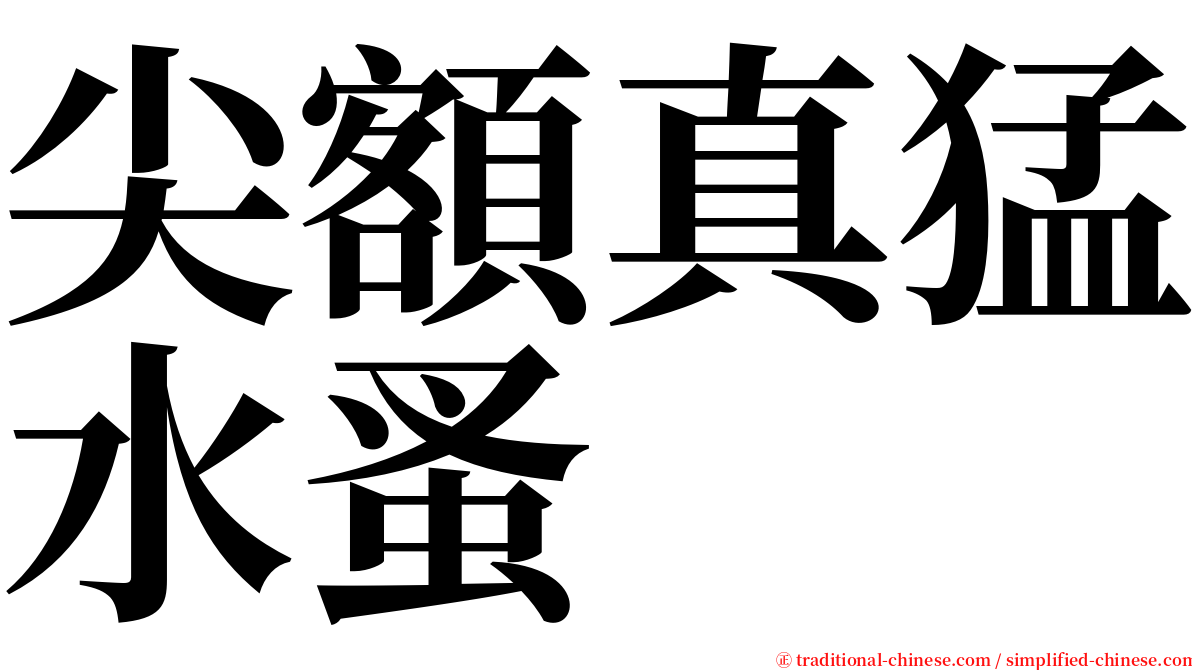 尖額真猛水蚤 serif font