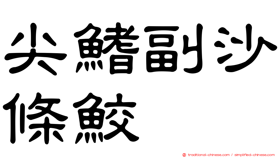 尖鰭副沙條鮫