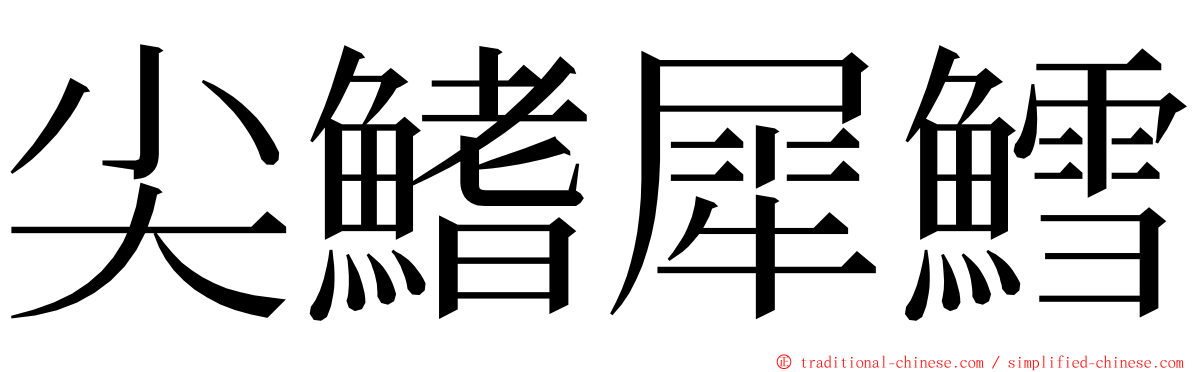 尖鰭犀鱈 ming font