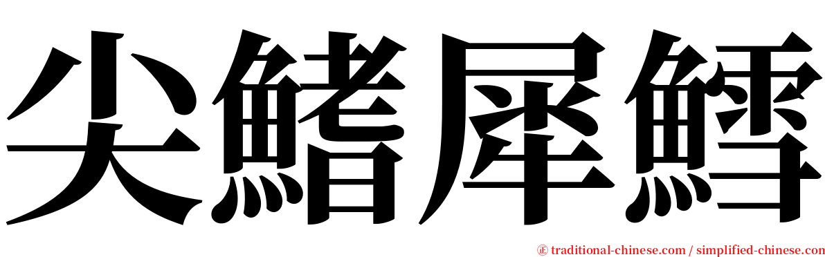 尖鰭犀鱈 serif font