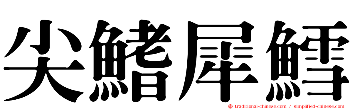 尖鰭犀鱈