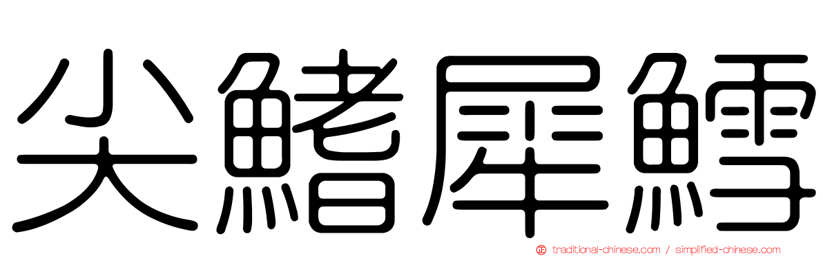 尖鰭犀鱈