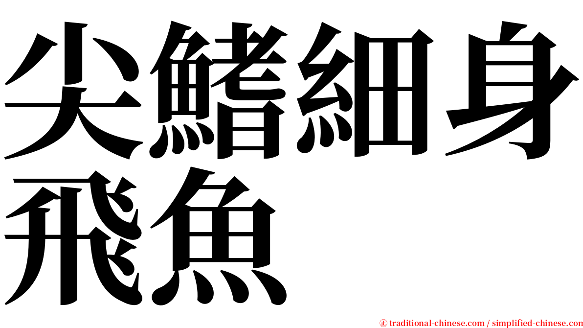 尖鰭細身飛魚 serif font