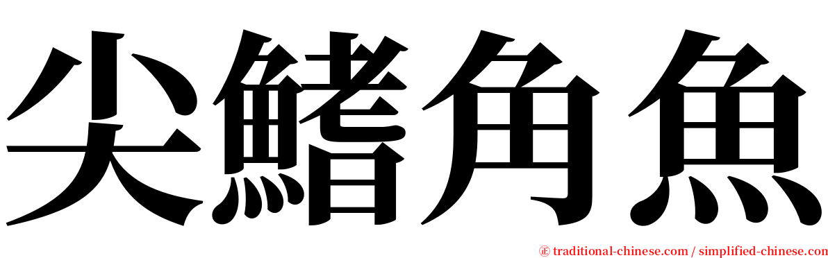 尖鰭角魚 serif font