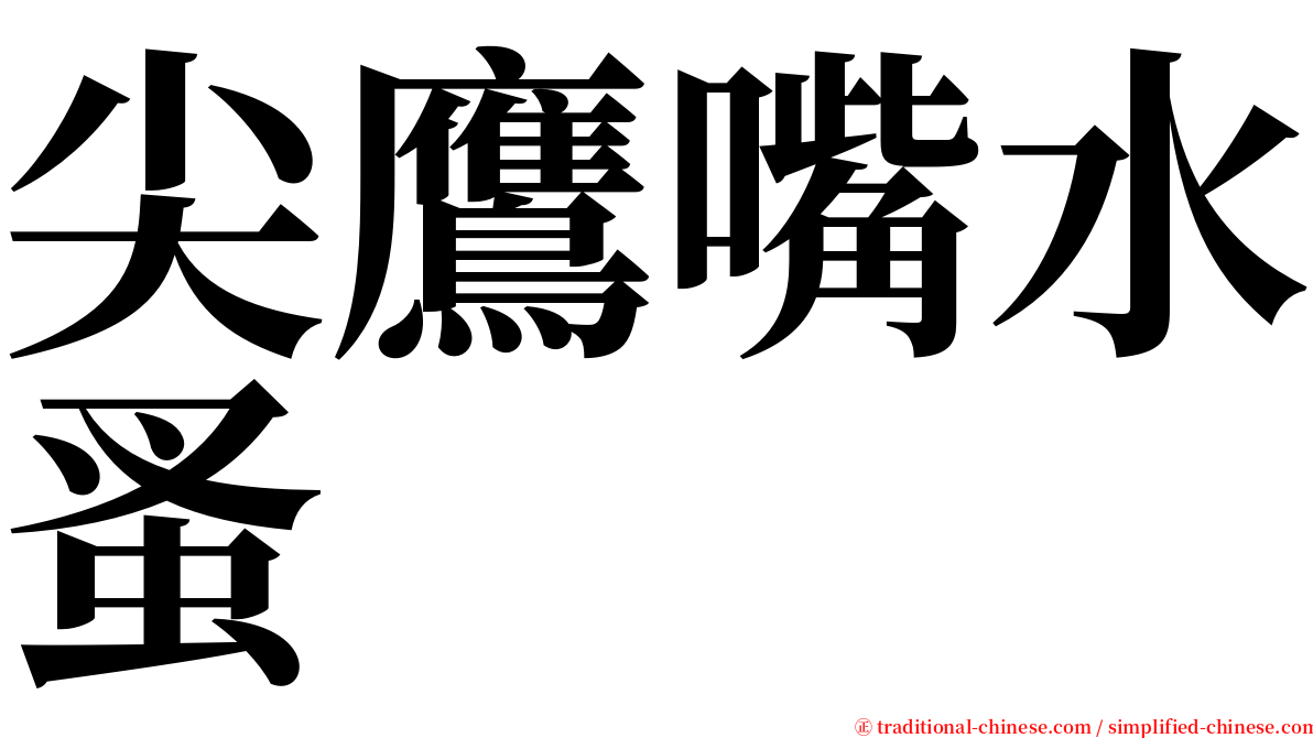 尖鷹嘴水蚤 serif font