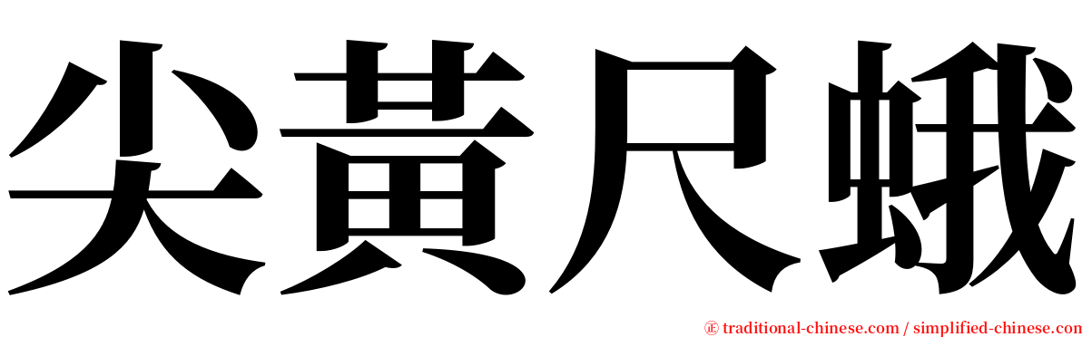 尖黃尺蛾 serif font