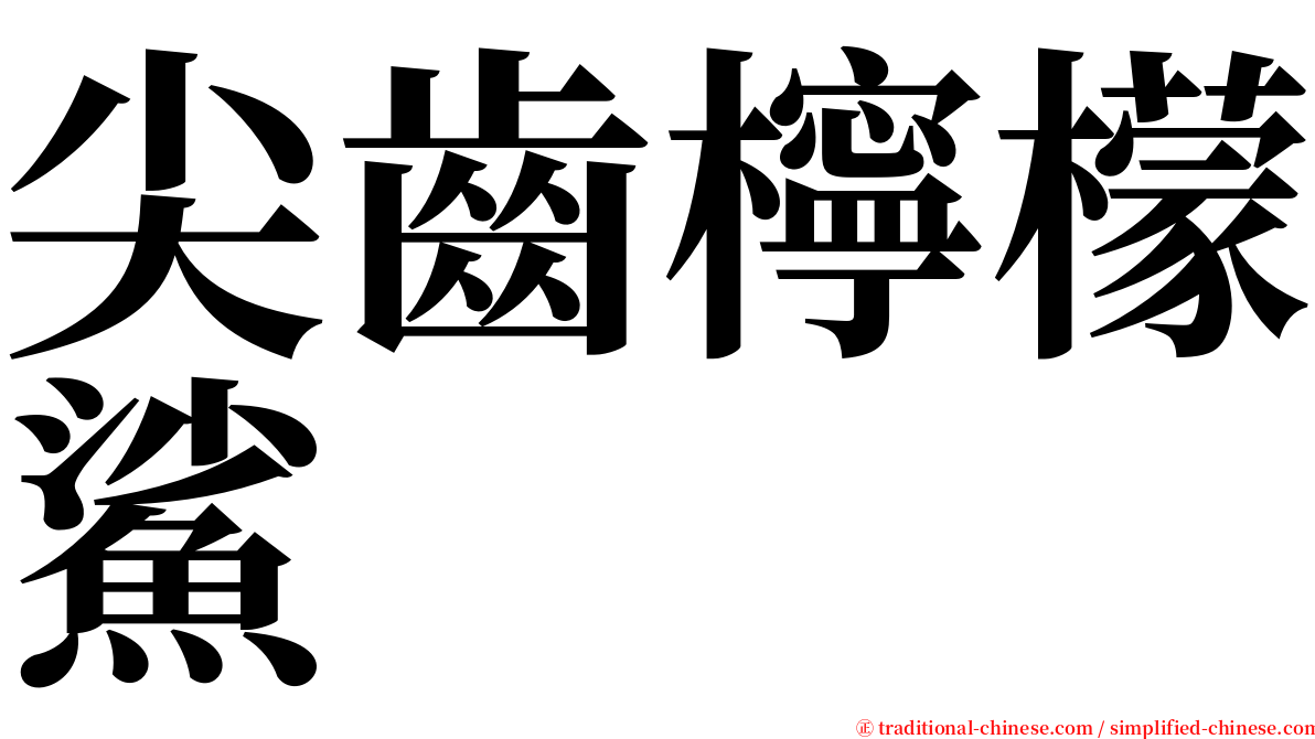 尖齒檸檬鯊 serif font