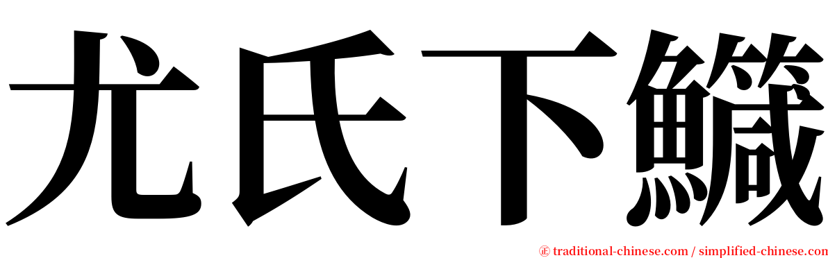 尤氏下鱵 serif font