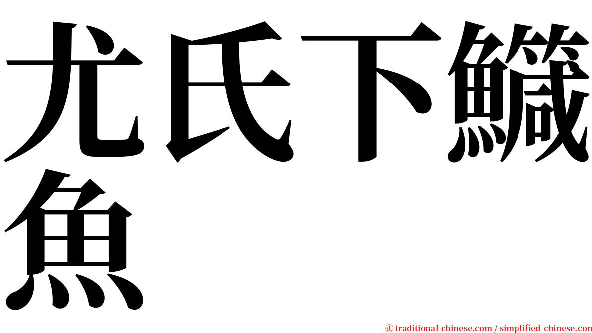 尤氏下鱵魚 serif font