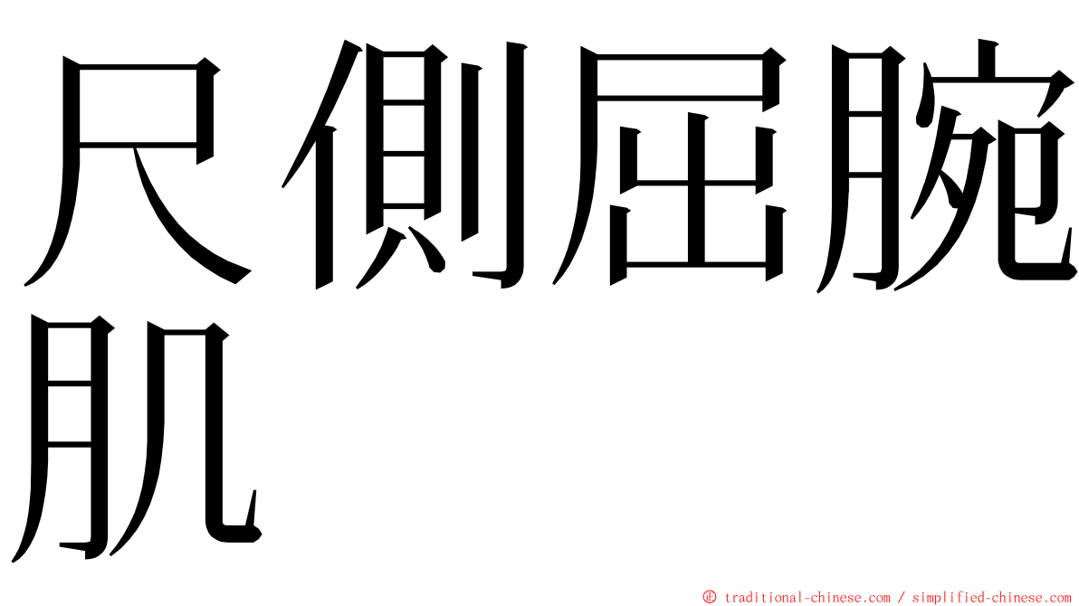 尺側屈腕肌 ming font