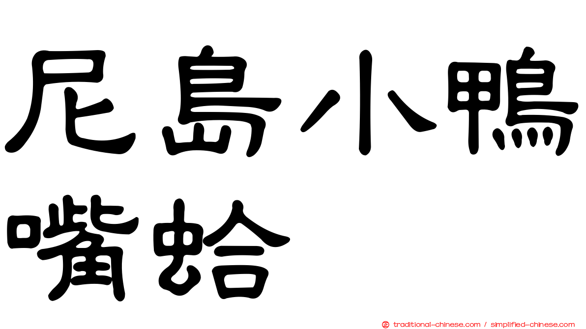 尼島小鴨嘴蛤