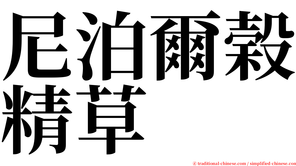 尼泊爾榖精草 serif font