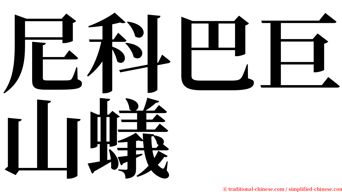 尼科巴巨山蟻 serif font