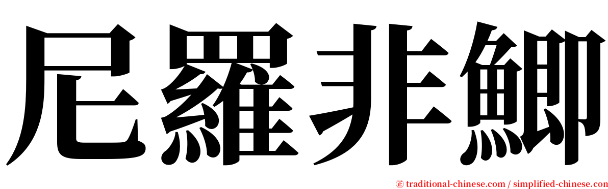 尼羅非鯽 serif font