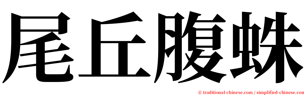 尾丘腹蛛 serif font