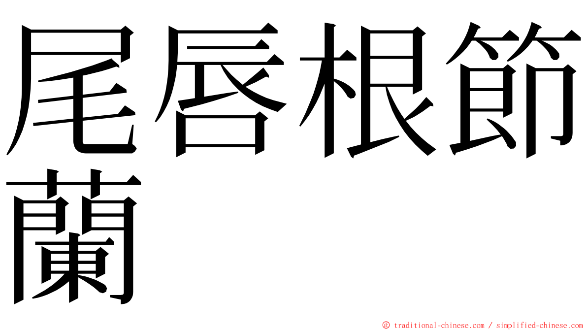 尾唇根節蘭 ming font