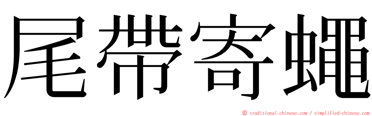 尾帶寄蠅 ming font