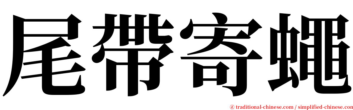 尾帶寄蠅 serif font