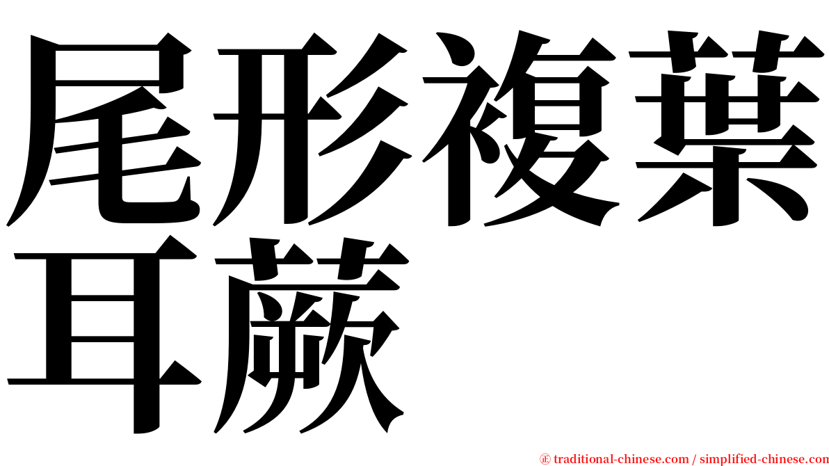 尾形複葉耳蕨 serif font