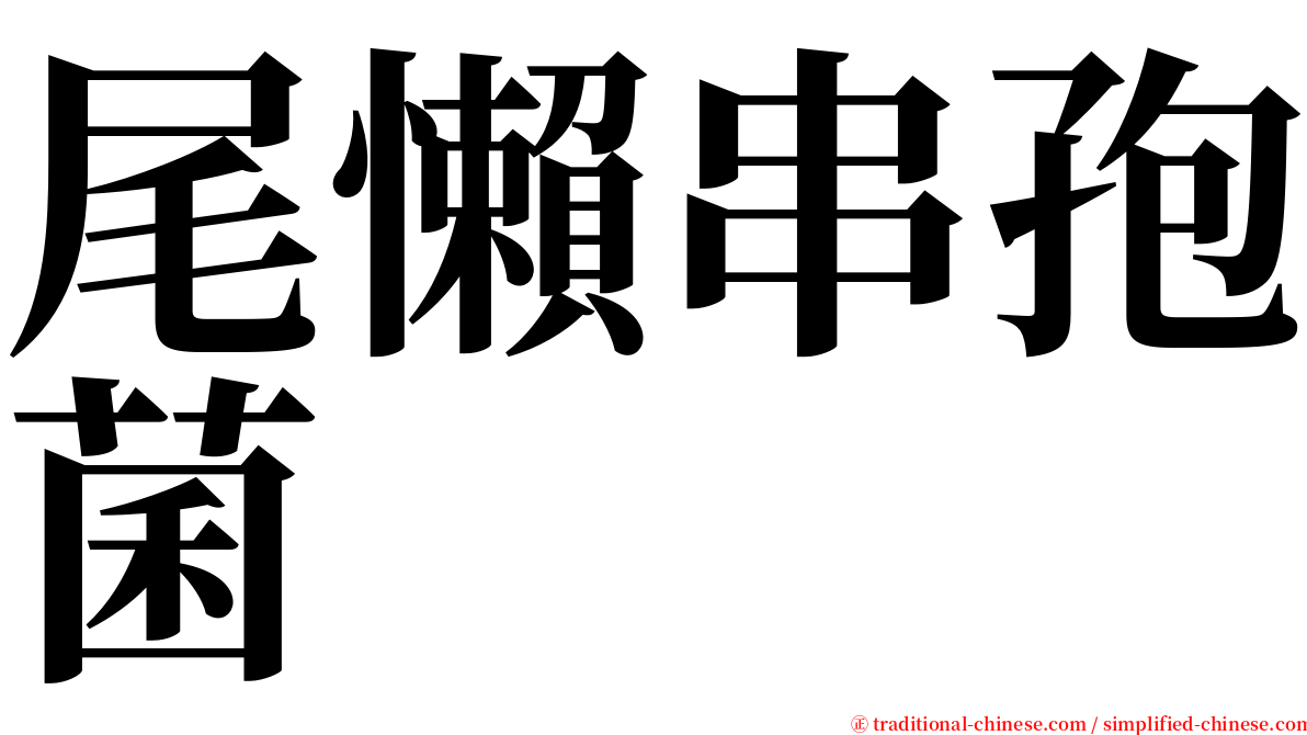 尾懶串孢菌 serif font