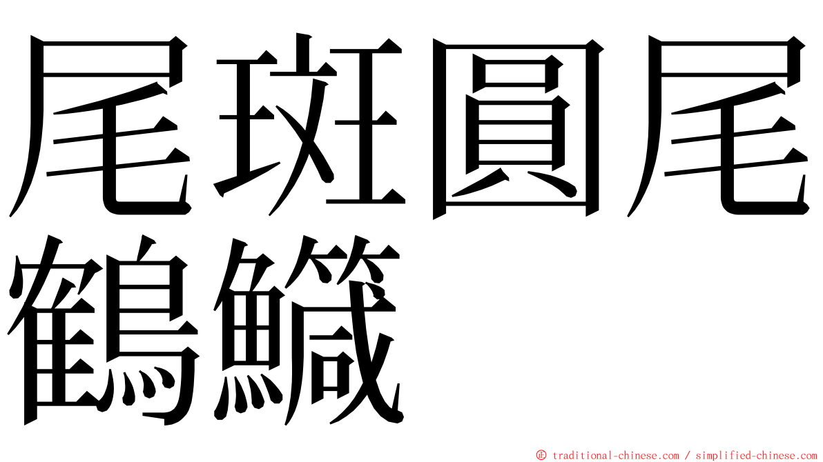 尾斑圓尾鶴鱵 ming font