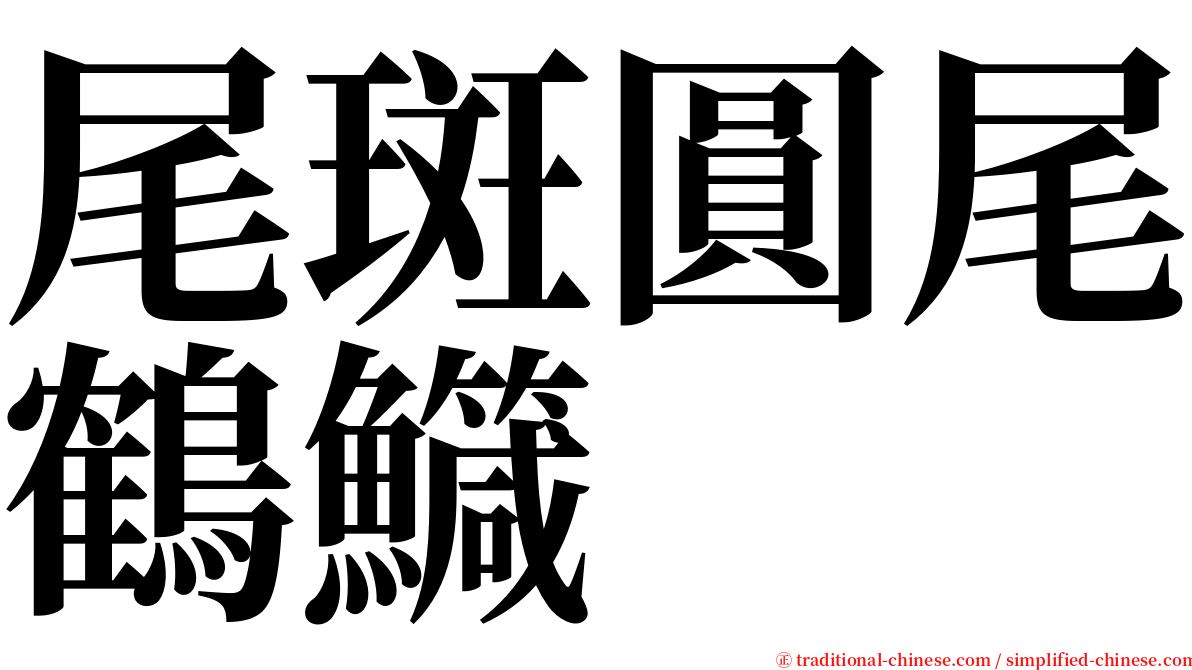 尾斑圓尾鶴鱵 serif font