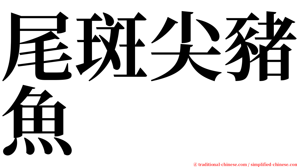 尾斑尖豬魚 serif font