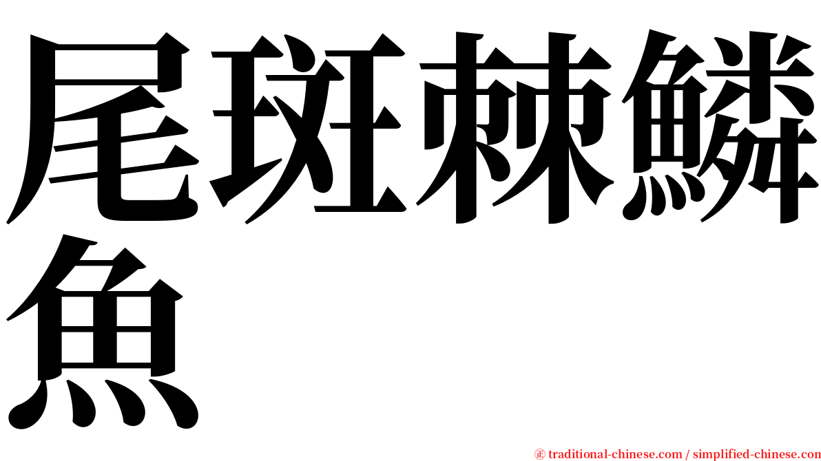 尾斑棘鱗魚 serif font