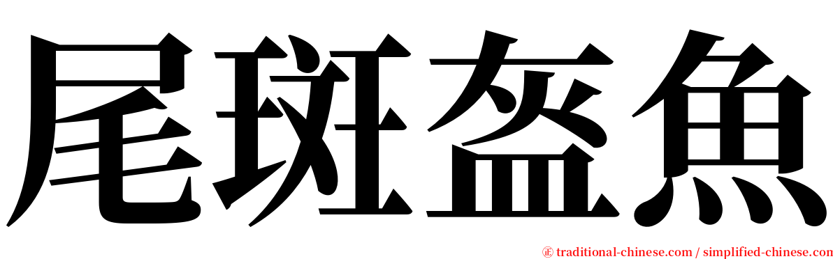 尾斑盔魚 serif font