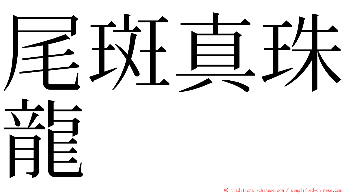 尾斑真珠龍 ming font