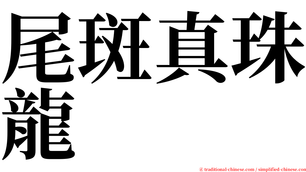 尾斑真珠龍 serif font