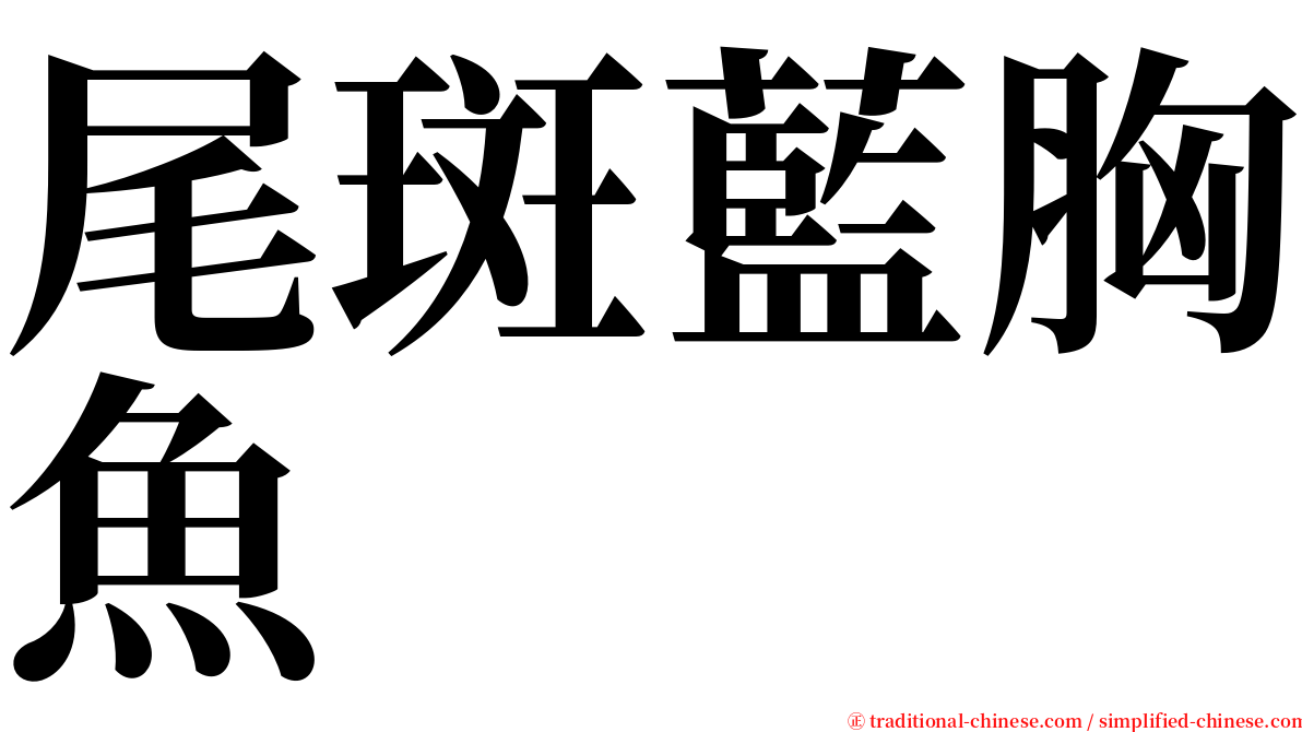 尾斑藍胸魚 serif font